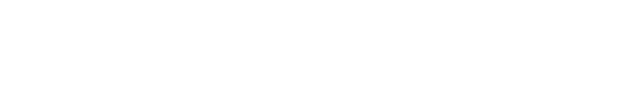 Bart Elektronika